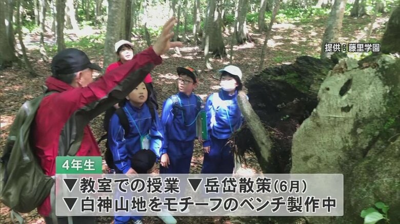 6月のブナの原生林「岳岱」散策の様子