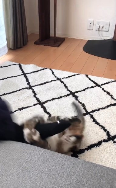 パパの足に全身でしがみつくキキちゃん