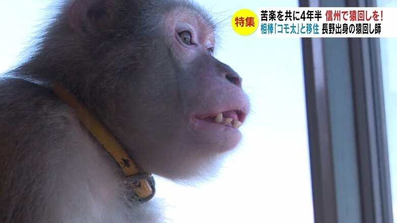 お気に入りの景色を眺める