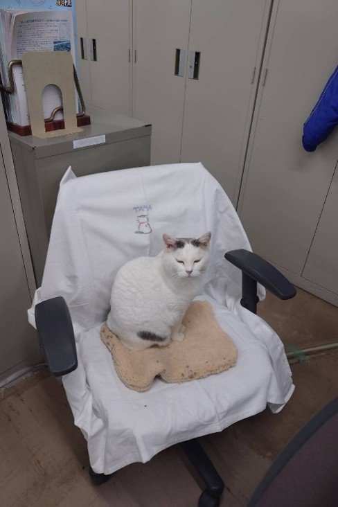 専用椅子でおすまし