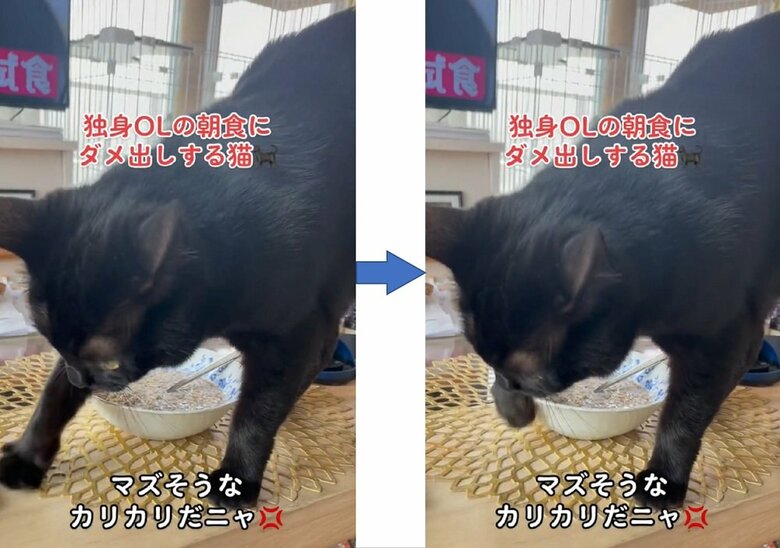 カキカキと砂をかけているかのよう