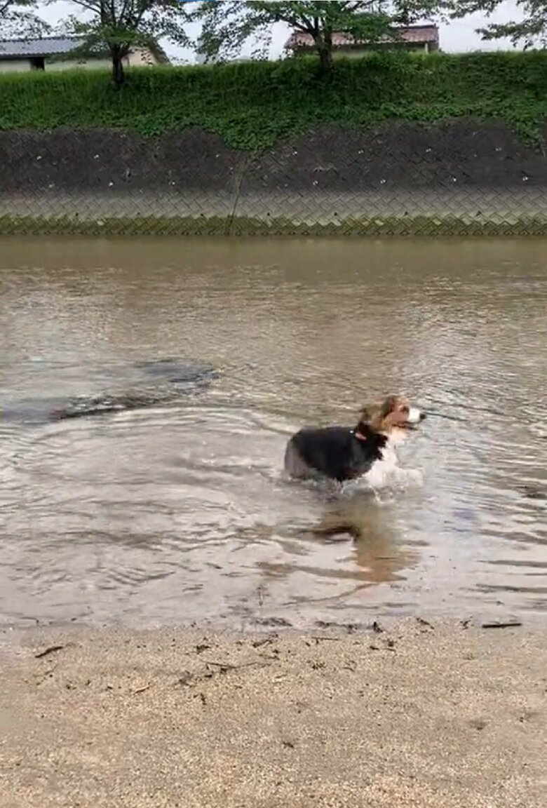 川遊びも大好き！