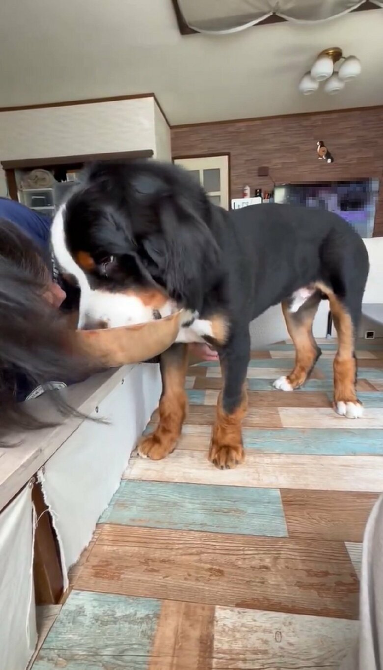 黙々と食べ進めて…