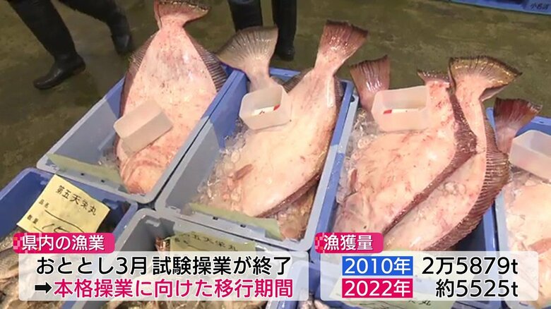 徐々に戻る漁獲量　しかし震災前の2割程度に留まる