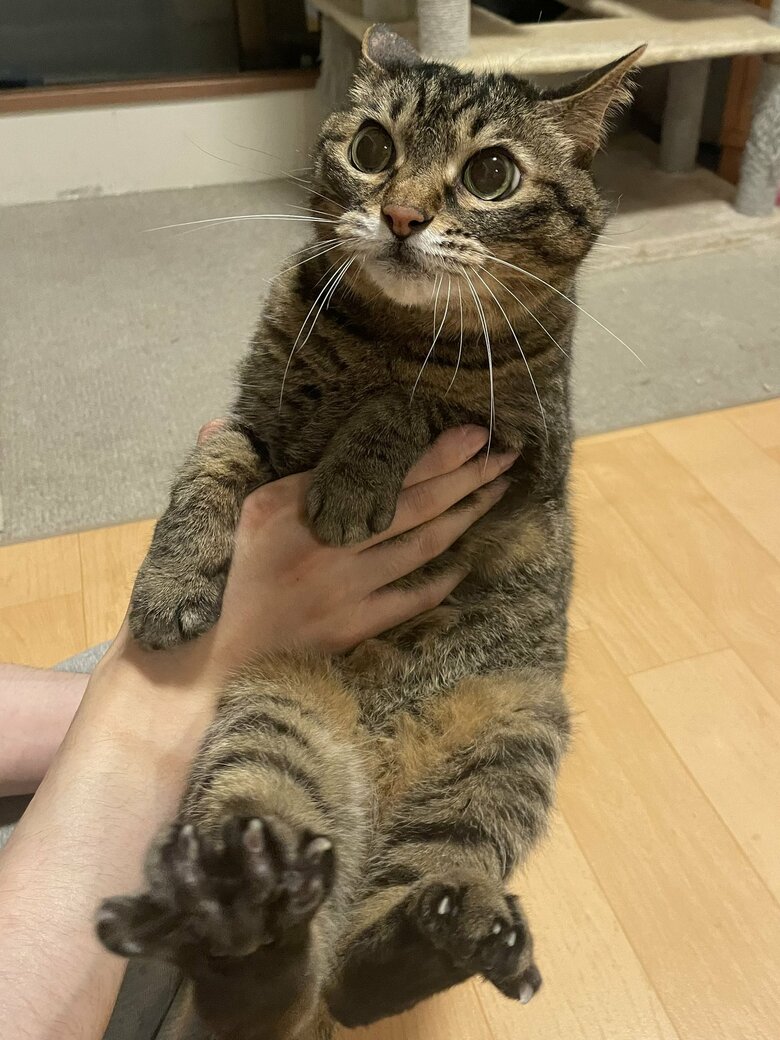 提供：えーさん