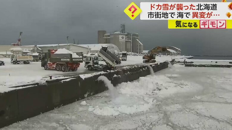 集められた雪は海に捨てられたが、海面が見えないほどの量