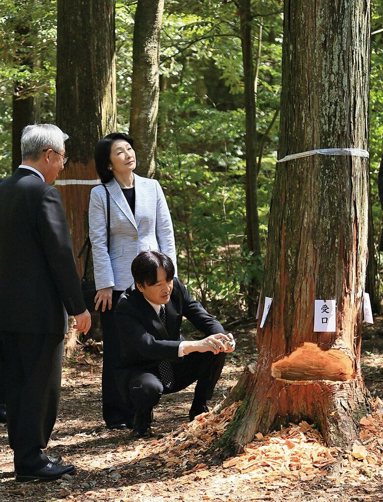 平成30年4月 伊勢神宮 宮域林をご視察(会誌「山林」2018年8月号より)
