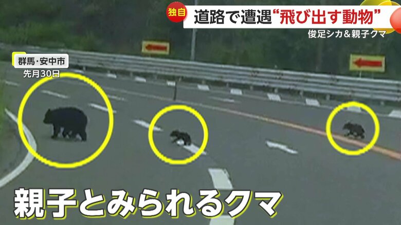 親子とみられる3頭のクマ