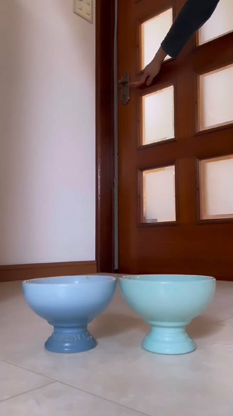 ご飯皿をセットして準備完了