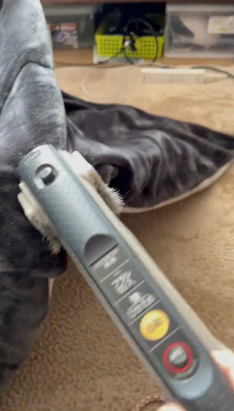 こたつ布団に掃除機をかけていると…