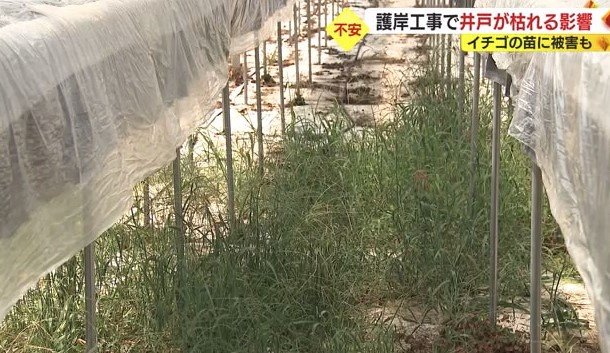 渡瀬さんのイチゴハウス