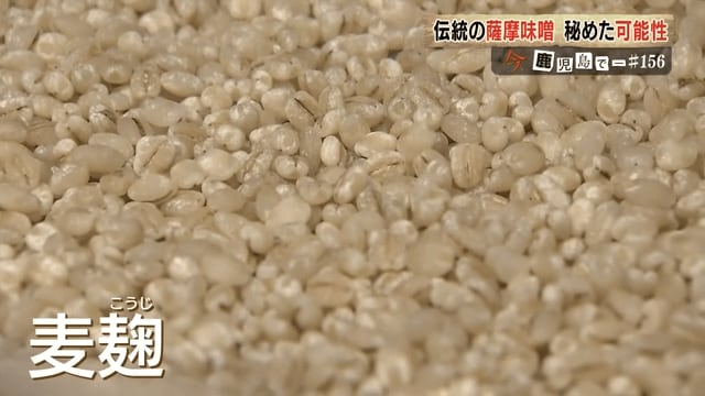 少し白っぽく見えるところでは、こうじ菌が繁殖しているという