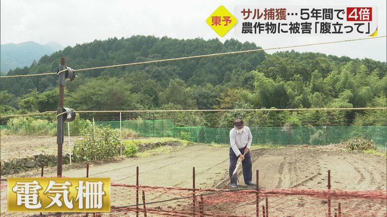 畑の周囲に設置された電気柵