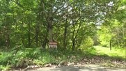 キノコ狩り中に行方不明となり1年…同じグループの男性「山菜採りはピタッとやめた」　山形で行方不明の男性は翌朝救助