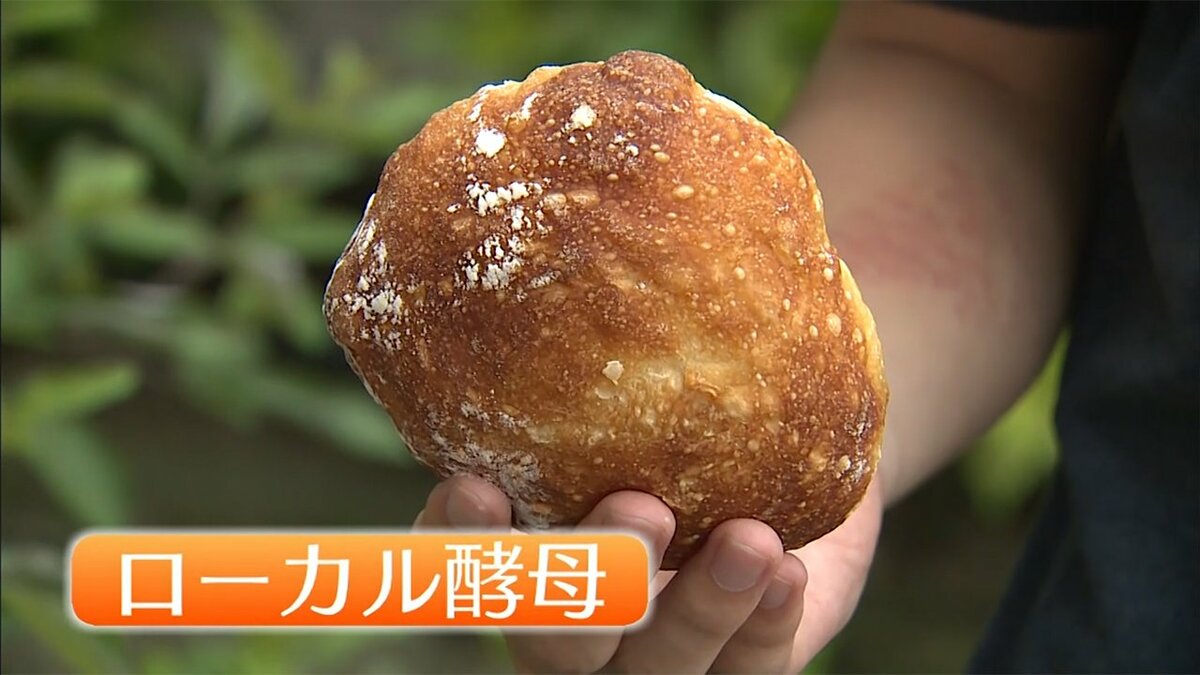 オリーブのパン、桜のビールも…地域ゆかりの植物から抽出した