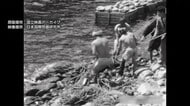 “最古級の竹島”映像を公開　昭和9年撮影「ニホンアシカ猟」の様子を克明に記録　領土・主権展示館