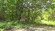 キノコ狩り中に行方不明となり1年…同じグループの男性「山菜採りはピタッとやめた」　山形で行方不明の男性は翌朝救助