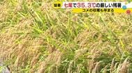 「お盆前から刈り取り」石川・七尾で35.3℃の猛暑日・輪島三井は今年最高、猛暑が稲の実りを早める