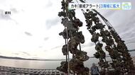 カキ大量死のリスク　”厳戒アラート”海域拡大　「広島湾北中部」に加え、新たに「西部」「南部・呉湾」も