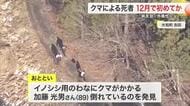 「パニックになり危険」イノシシ用わなにクマ　猟友会男性が襲われ死亡　駆除した猟友会メンバーが警鐘