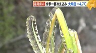 福岡県内 今季一番の冷え込み 大牟田市で-4.7℃ 21日頃まで厳しい寒さ続く見込み