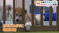 秋田犬の里 約3カ月ぶりに再開 秋田・大館市