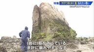 消えゆく「ホボロ島」の謎 島を侵食する“ダンゴムシ”そっくりな生物とは? 瀬戸内の悲しきロマンを後世へ【広島発】