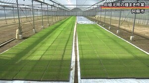 田植え用の種まき作業盛ん【熊本】