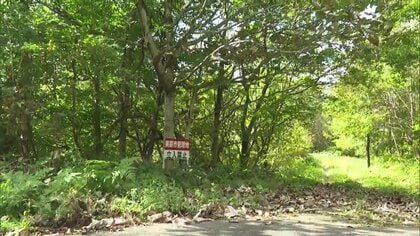 キノコ狩り中に行方不明となり1年…同じグループの男性「山菜採りはピタッとやめた」　山形で行方不明の男性は翌朝救助