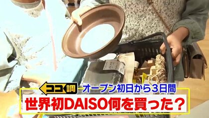 銀座に新オープン！「ダイソー」世界初の“グローバル旗艦店” 何を買った？注目の便利アイテムを調査