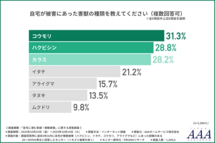 【害獣被害の現実】約3人に一人が「ハクビシン・コウモリ被害」を経験！衛生面・健康面の不安を感じた方は約半数に上る結果に