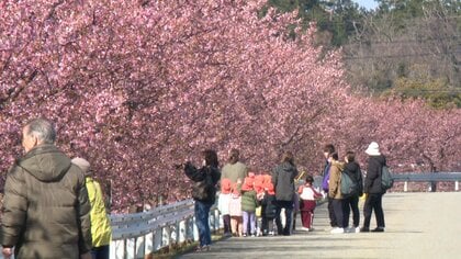 河津桜も桜スイーツも“満開”　ソメイヨシノ開花は3月中旬以降　都心は13日再び“冬の寒さ”週末は春の陽気へ