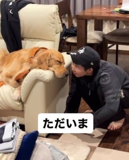 熟睡中に“家族”が帰宅→寝ぼけたままお出迎えするワンちゃんがかわいい！だんだん「エンジンがかかる」姿が幸せいっぱい