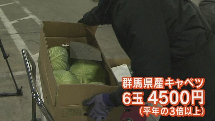 9日朝の長野地方卸売市場で競り落とされた群馬県産キャベツ 6玉4500円(平年の3倍以上)