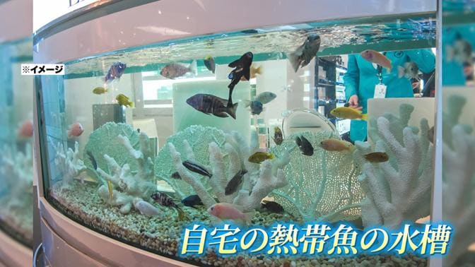 ”海水を買う自動販売機”