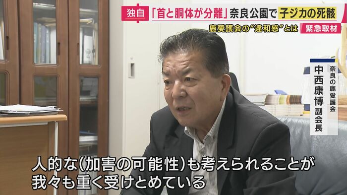 奈良の鹿愛護会 中西康博副会長
