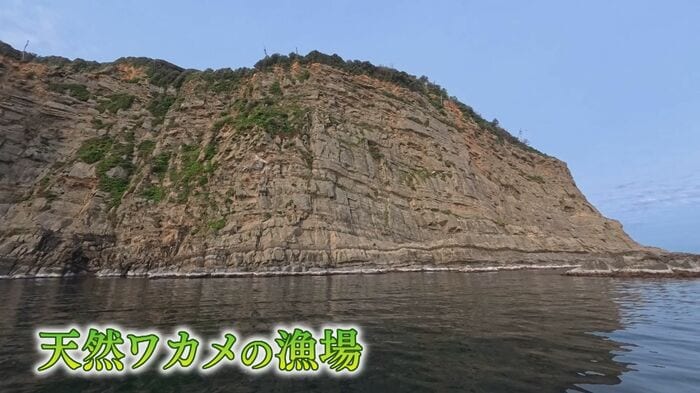 天然ワカメの漁場（出雲市十六島町）