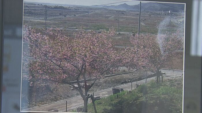 震災後の2013年4月…奥は更地