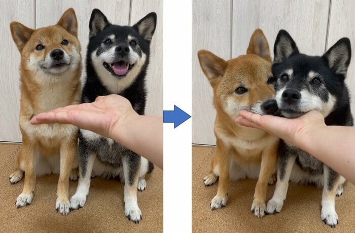 手のひらにあご乗せ