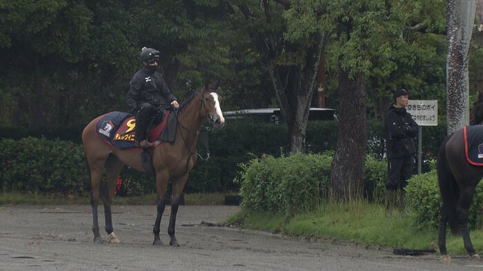 最終追い切りに臨むチェルヴィニア