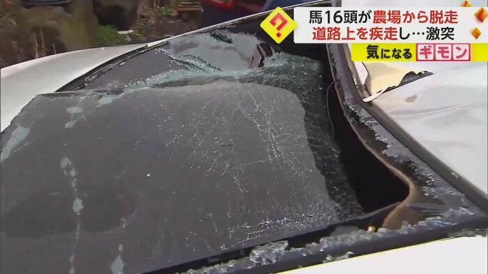 後ろの窓も割れている