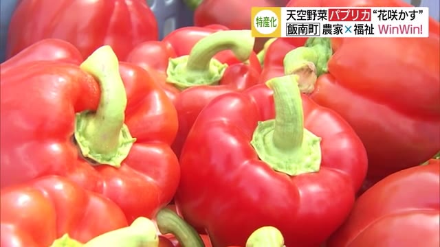 パプリカ農家が福祉施設と連携し販路拡大へ(島根・飯南市)
