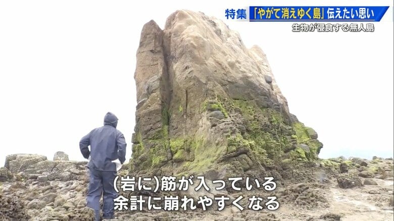 消えゆく「ホボロ島」の謎　島を侵食する“ダンゴムシ”そっくりな生物とは？　瀬戸内の悲しきロマンを後世へ【広島発】｜FNNプライムオンライン
