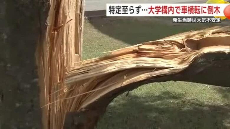 秋田県立大学で車が横転、倒木の被害も　気象庁が調査するも原因特定には至らず　秋田市｜FNNプライムオンライン