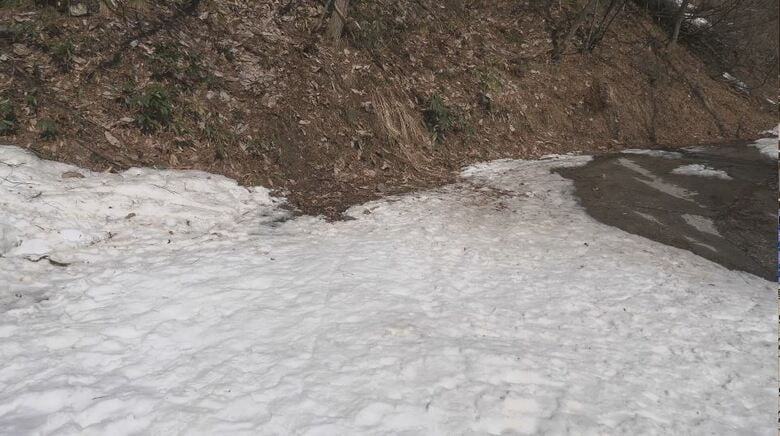 オーストラリア国籍の8歳女児が死亡　母親運転のスノーモービルが横倒しに…　斜面でのり面に乗り上げる　原因は…　家族旅行で体験ツアーに参加中｜FNNプライムオンライン