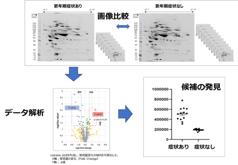 東京科学大学認定ベンチャー称号授与企業aiwell株式会社、ホットフラッシュや気分変動などの更年期症状に関与するバイオマーカーを発見。臨床試験を目指す。