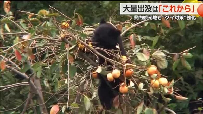 白川郷のクマ被害で観光地に広がるショック　爆竹や“トウガラシ線香”で対策　福井県は「10月中旬から出没ピーク」と警戒呼び掛け｜FNNプライムオンライン