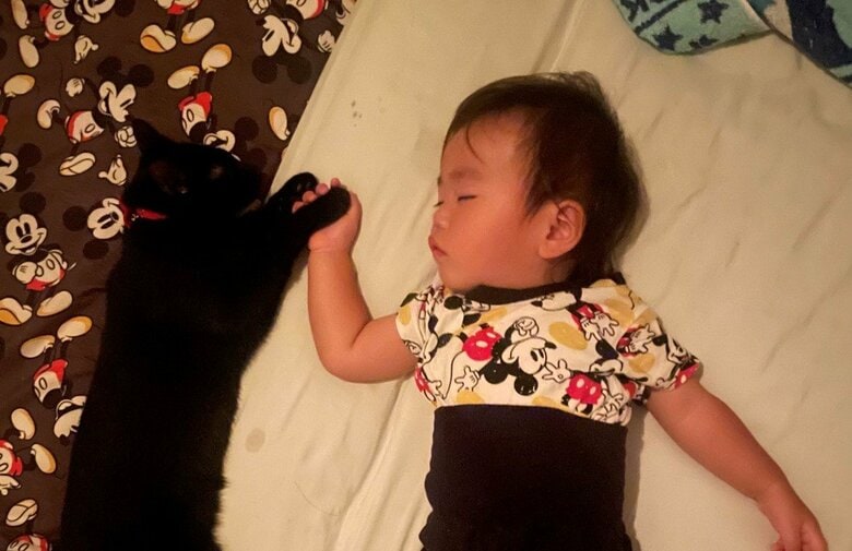 猫と1歳児が一緒に“電池切れ”！大騒ぎから急に静かになった寝姿が尊い…“ふたり”の関係性を母親に聞いた｜FNNプライムオンライン