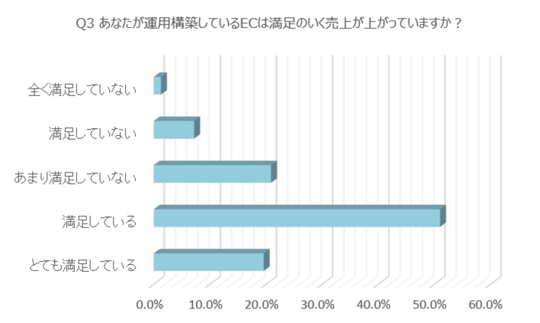約3割の企業がEC運営に不満理由は、戦略やノウハウがない不足が半数