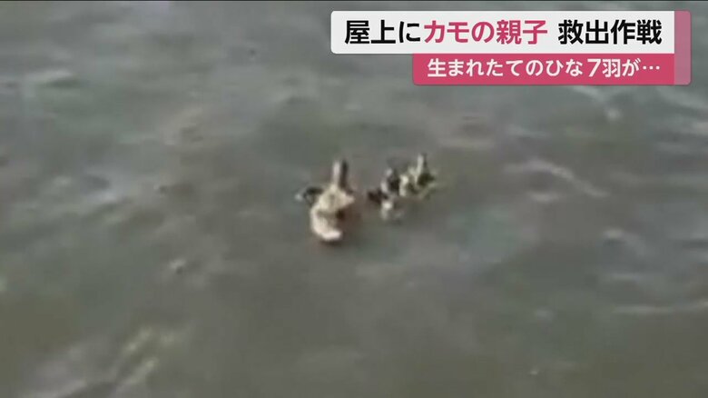 無事に屋上から抜け出せて、よかった